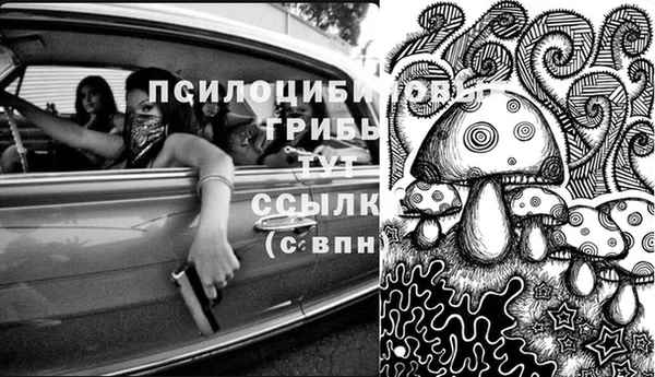 СК Абинск